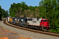 New Uploads - May 2011